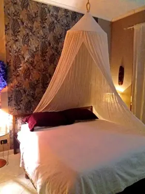 a bedroom with a bed with a mosquito net at Anna Vì Guest Home in Rome