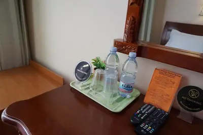 a tray with bottles of water and a remote control at Hotel Filippo in Rome