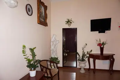 a living room with a tv and a table with plants at Hotel Filippo in Rome