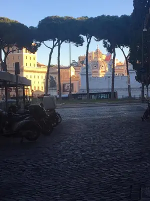 a group of motorcycles parked on a street with trees at Magenta Collection Specchi in Rome
