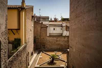 an alley with a potted plant in the middle at The Hide Trastevere in Rome