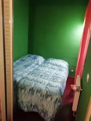 a bed in a room with a green wall at Casa di Marco a Trastevere in Rome