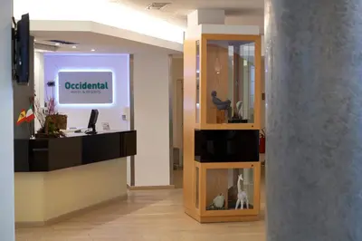 a room with a display case with a cat in it at Occidental Aurelia in Rome