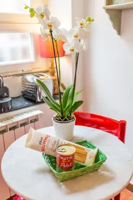 a table with a plant and a book and flowers at Sora Menica in Rome