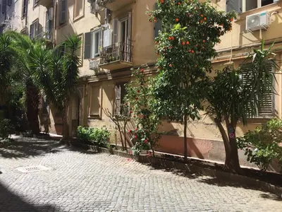 a building with a tree with oranges on it at Oscar 2 in Rome
