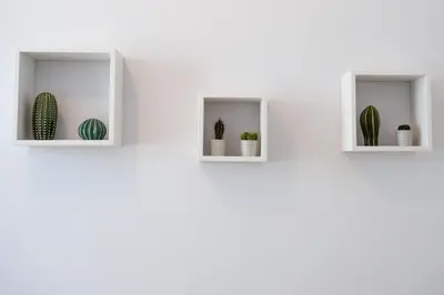 two white shelves with cactuses and plants on a white wall at Enjoy Ponte Lungo in Rome