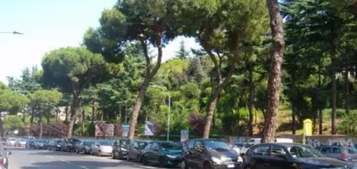 a bunch of cars parked on a street with trees at Magnolia St.Peter's Suites in Rome