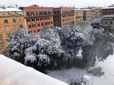 a group of trees covered in snow in a city at Fanti Rooms in Rome