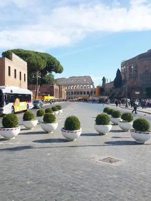 a row of bushes in white bowls on a street at La Casa Sui Fori in Rome