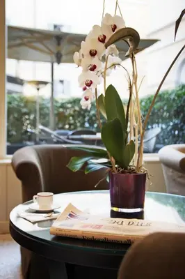 a table with a vase with a plant on it at Hotel Albergo Santa Chiara in Rome