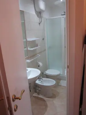 a bathroom with a sink and a toilet at Evergreen in Rome