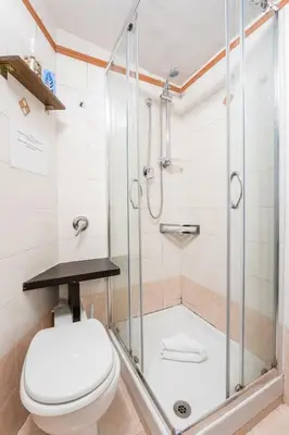 a bathroom with a toilet and a shower at FL Apartments Al Mattonato n4 in Rome