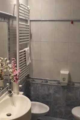 a bathroom with a white sink and a shower at Hotel Louisiana in Rome