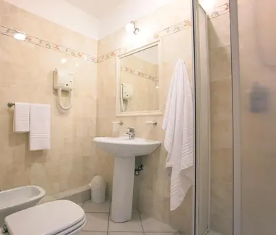 a bathroom with a toilet and a sink and a shower at Hotel Domus Praetoria in Rome