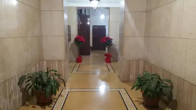 a hallway with two potted plants in a building at Principe Guesthouse in Rome