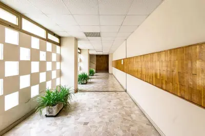 a hallway with potted plants in a building at la casetta dei sogni in Rome