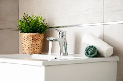 a bathroom sink with a faucet and a plant on it at Casa Scalzi in Rome