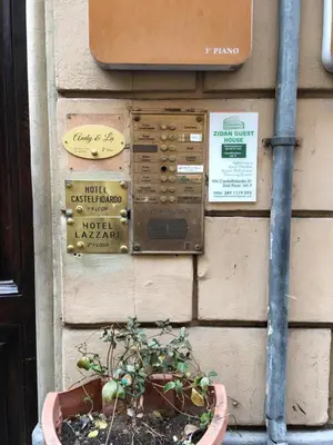 a plant in a pot in front of a wall at Zidan Guest House in Rome