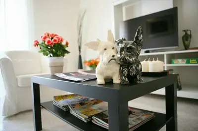 two dogs sitting on a table in a living room at Linda Musei Vaticani in Rome
