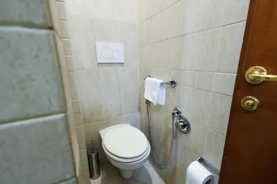 a bathroom with a toilet and a shower at Hotel Terminal in Rome