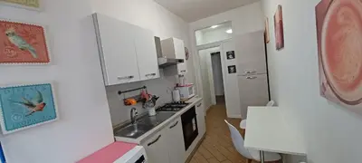 a small kitchen with a sink and a stove at Residenza Romana Vaticana in Rome