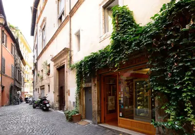a building with ivy on the side of a street at Navona Charming Flat in Rome
