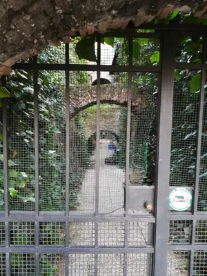 a dog in a cage looking through a gate at Foro Romano Palatino View Relais in Rome