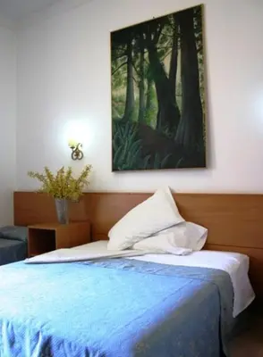 a bedroom with a bed with a painting on the wall at Hotel Bolognese in Rome