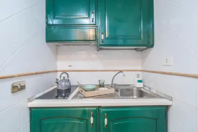 a kitchen with green cabinets and a sink at L'Agata (Trastevere) in Rome