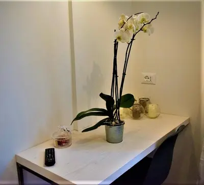 a table with a vase with a plant on it at St. Peter's Luxury Rooms in Rome