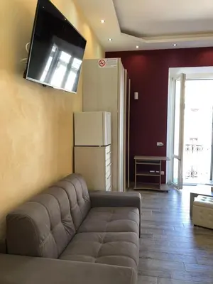 a living room with a couch and a flat screen tv at Vatican Garden in Rome