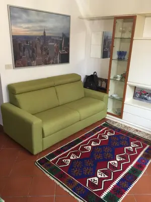 a green couch in a living room with a rug at Lovely Irnerio ❤ flat near S. Pietro ★ in Rome