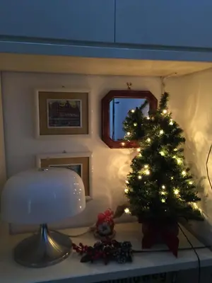a christmas tree sitting on a table next to a room at Lovely Irnerio ❤ flat near S. Pietro ★ in Rome