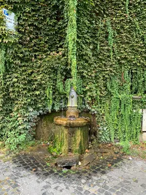 a ivy covered wall with a fire hydrant at Foro Romano Apartments B in Rome