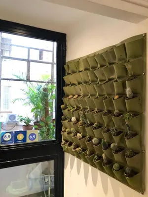 a wall filled with lots of plants in a room at DAB Guest House in Rome