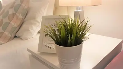 a vase with a plant on a table next to a lamp at Campani Luxury Flat in Rome