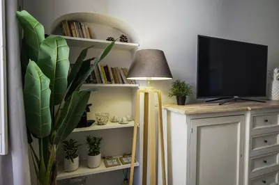 a living room with a shelf with plants and a lamp at SuityRHome RioneMonti37 in Rome