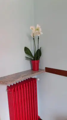 a red radiator and a potted plant on a shelf at Chiara Rooms in Rome