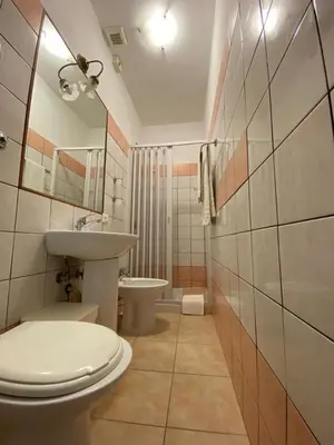 a bathroom with a toilet and a sink at Hotel Il Papavero in Rome