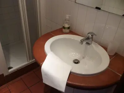 a bathroom with a sink with a roll of toilet paper at Hotel Al SanPietrino in Rome