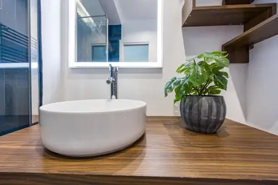 a bathroom with a white sink and a potted plant at Maestoso Locazione Turistica in Rome