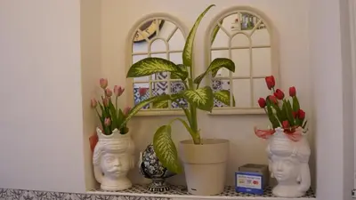 three white vases with flowers in them on a shelf at Residenza a San Pietro in Rome