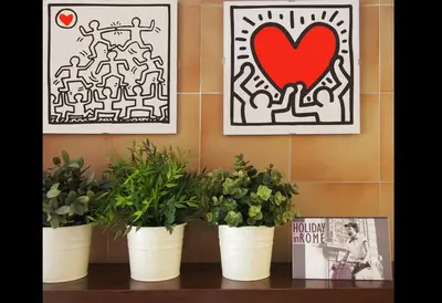 two plants in white pots on a shelf with a heart at Holiday in Rome in Rome