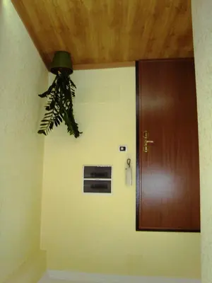 a hallway with a door and a potted plant at Residenza Fermi in Rome