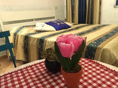 a pink flower in a pot on a table with two beds at B&B Twins in Rome