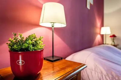 a lamp and a potted plant on a table next to a bed at Apartment Angelo Emo 69 in Rome