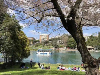 people sitting on the grass near a river with a boat at Casa Bella B&B 2 Unità - Una con bagno privato oppure camera con bagno condiviso in Rome