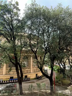 a group of trees in front of a building at Paramount in Rome