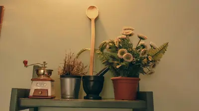 a shelf with plants and a wooden spoon on it at Casa ParticulART in Rome
