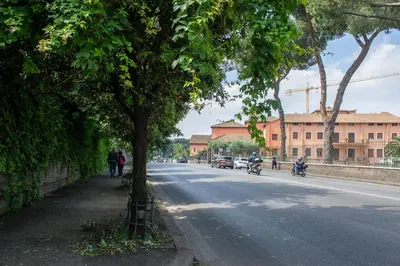 a tree on the side of a street at Domus Caracalla Nel Cuore Di Roma in Rome